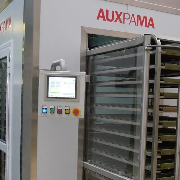 Auxpama CorCAR scoring bread straight from the rack