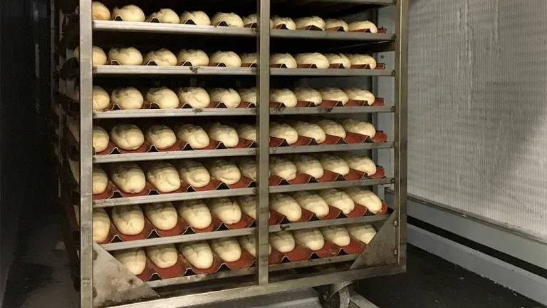 Auxpama freezing tunnel rack movement