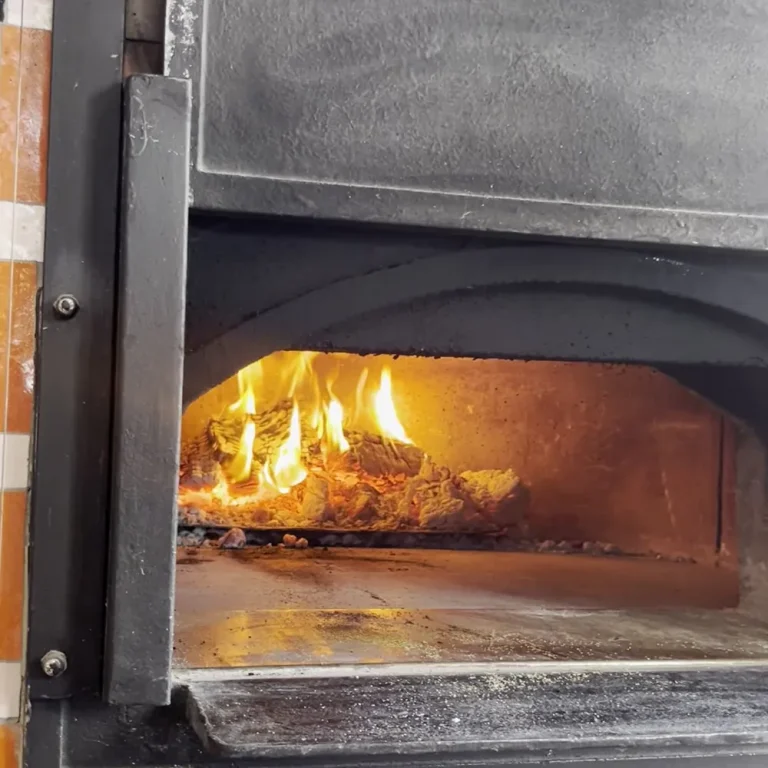 Formex wood-fired oven with the fire lit
